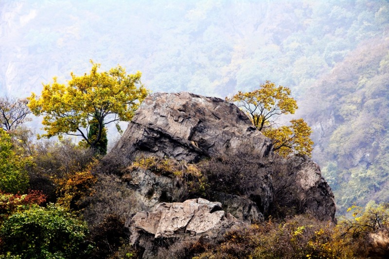 記者攝影家走進(jìn)房山金祖山風(fēng)景區(qū)釆風(fēng)