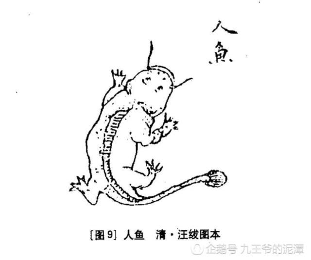 《山海經(jīng)》古人如何看有龍字的動物呢？奇獸龍魚