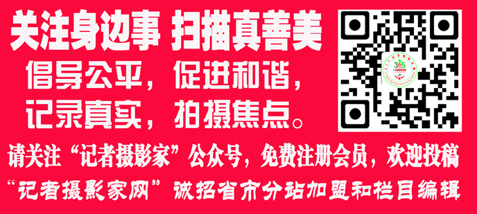 北影節(jié):預計中國票房2022年將超900億元