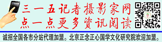 正規(guī)回收率不到30% 每年數(shù)百萬輛報廢汽車去哪了？