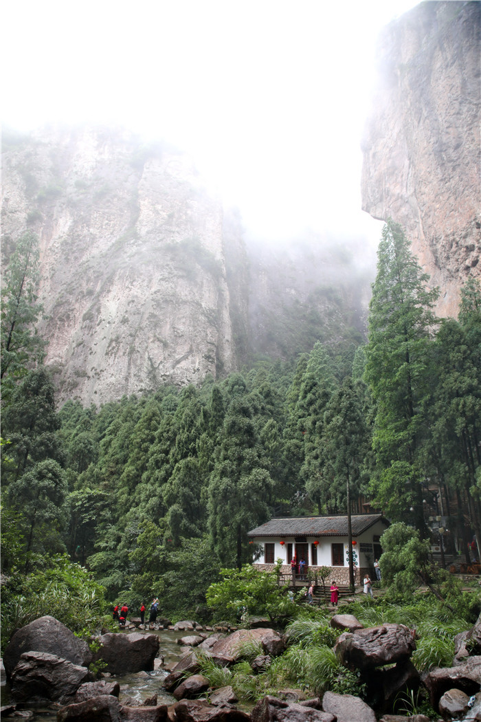 雁蕩山的壯想—斌心伏羲娃參加紀(jì)念趙樸初與南懷瑾先生座談會(huì)側(cè)記