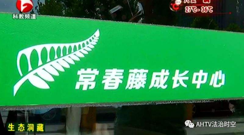 合肥一機構被曝虐童、用過期食品 官方:無證經(jīng)營