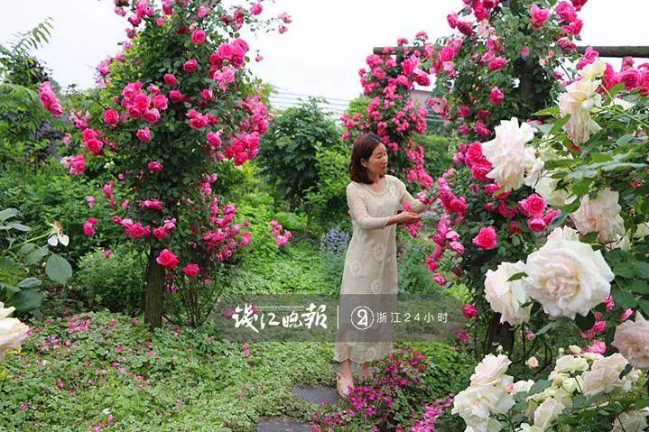 羨慕！他為妻子打造500多種植物花園，只為結(jié)婚時(shí)一個(gè)許諾！