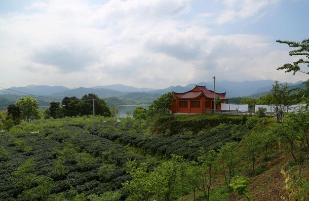 安徽太湖縣春草愛心聯(lián)盟慈善協(xié)會會員走進(jìn)金夢灣生態(tài)農(nóng)莊