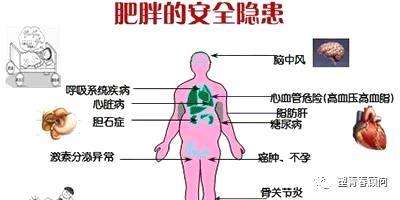 百病之源！肥胖的九大危害，你知道幾個(gè)？