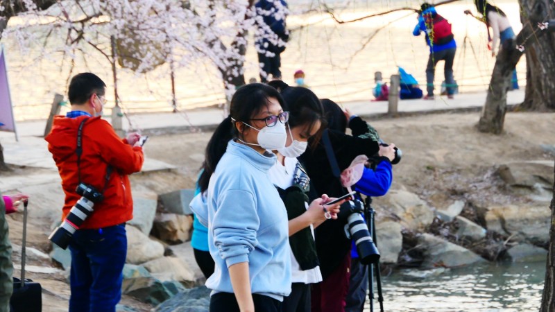 春到頤和園 拍客眼里最美的景色