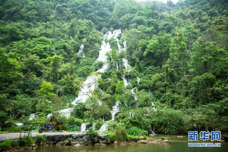 鏡頭帶你走進貴州荔波小七孔 青山秀水春光美