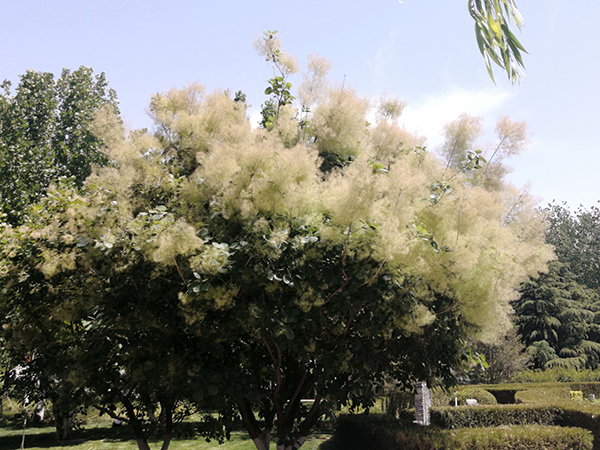 打卡世界花卉大觀園