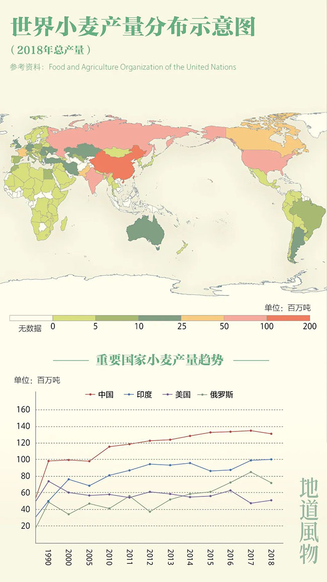 什么是中國夏天最美的景色？