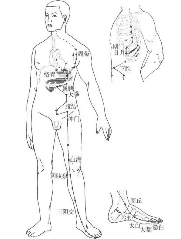 7個方法調(diào)理好你的中焦和脾胃，排出身體寒濕