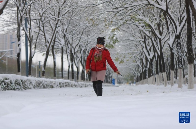 沈陽出現(xiàn)1905年有氣象記錄以來冬季最強降雪 (1/21)