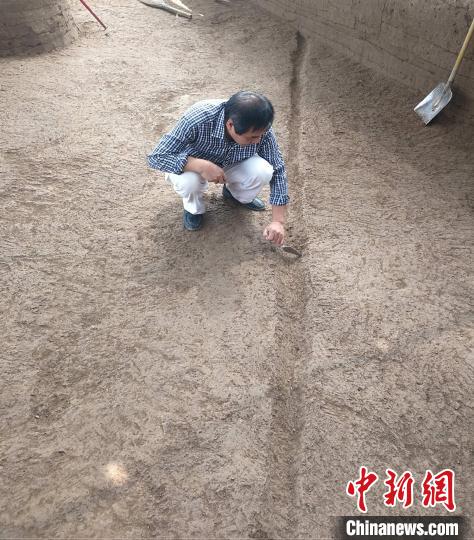 鎬京遺址發(fā)現(xiàn)西周時(shí)期道路等遺跡