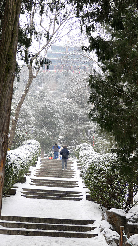 雪中景山公園、故宮