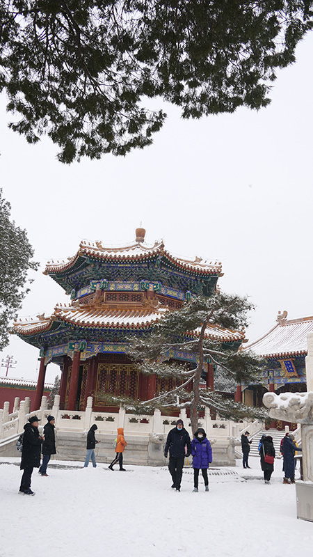 雪中景山公園、故宮