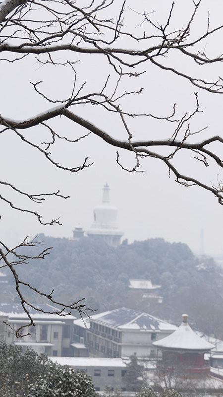 雪中景山公園、故宮