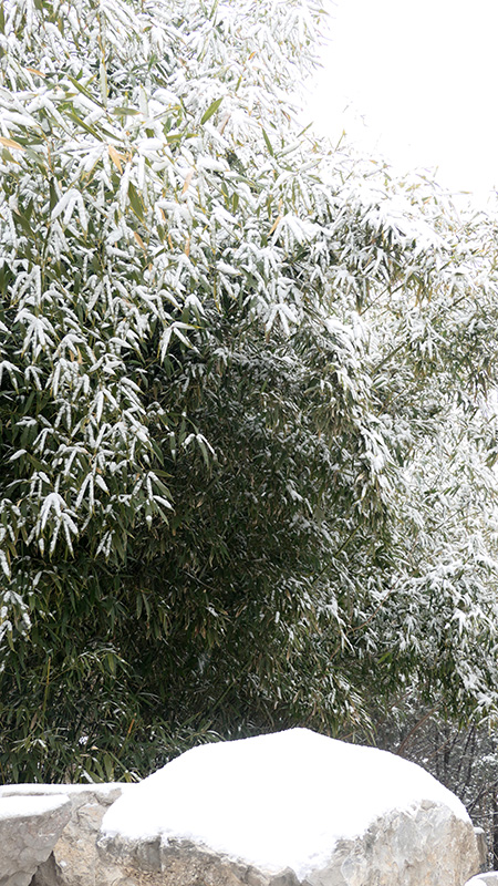 雪中景山公園、故宮