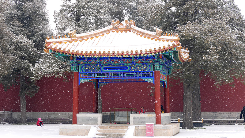 雪中景山公園、故宮——李月攝影