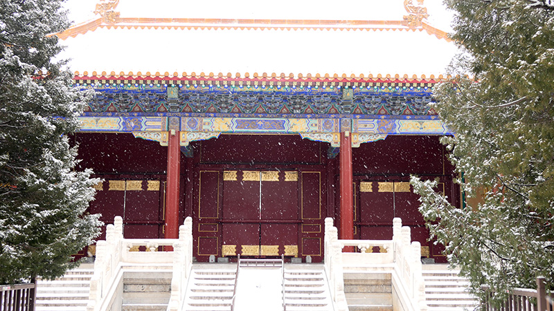 雪中景山公園、故宮——李月攝影