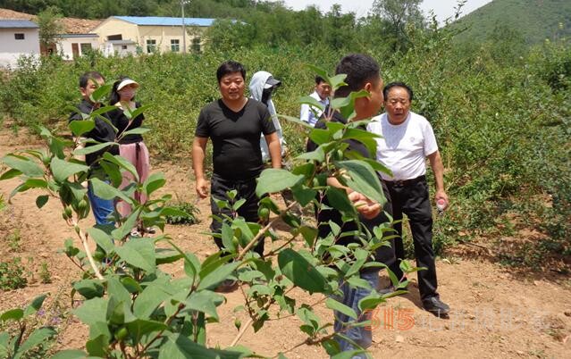 河南瑞龍德圣堂：為做經(jīng)典飲片鍛造“金名片”