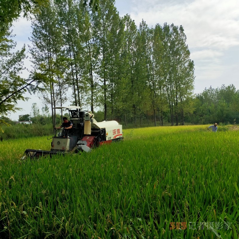 沉沙詩圖：在一條光的小路走到黑