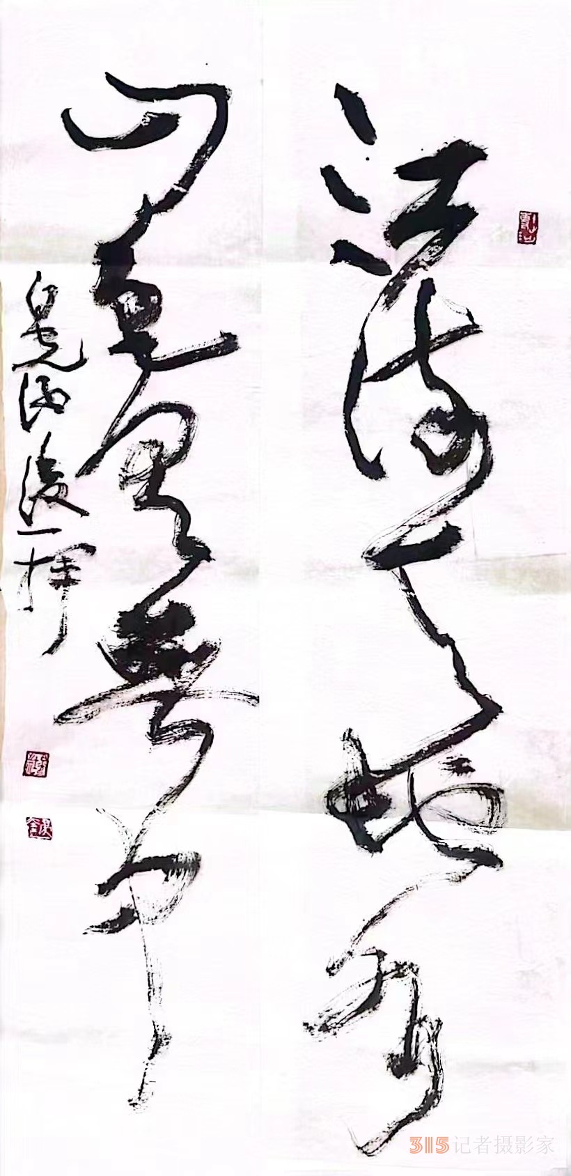 書(shū)畫(huà)名家白光作品——以書(shū)入畫(huà) 詩(shī)化丹青