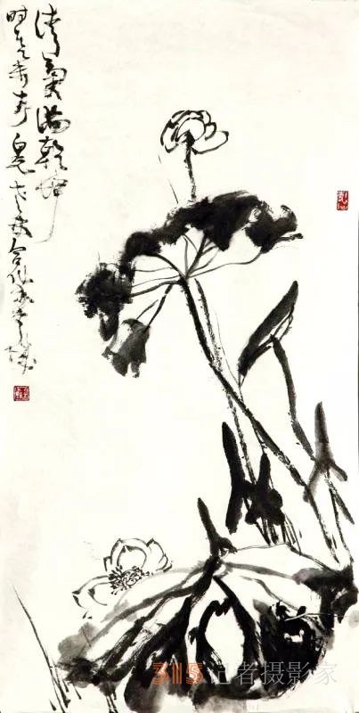 書(shū)畫(huà)名家白光作品——以書(shū)入畫(huà) 詩(shī)化丹青