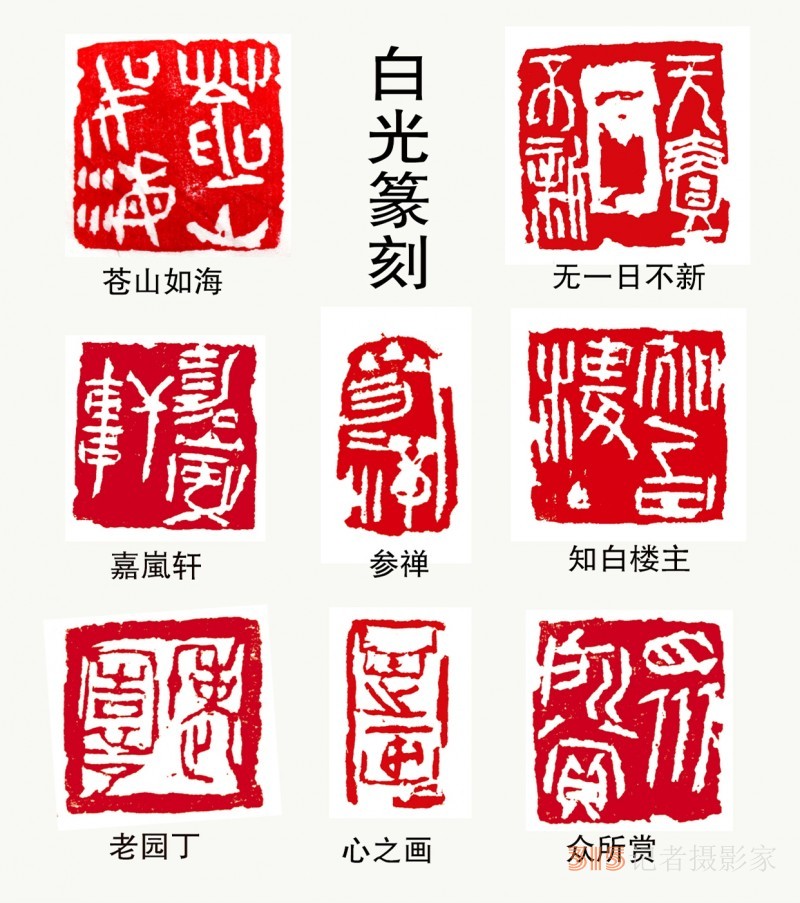 書(shū)畫(huà)名家白光作品——以書(shū)入畫(huà) 詩(shī)化丹青