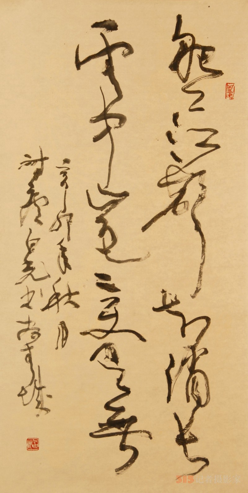 書(shū)畫(huà)名家白光作品——以書(shū)入畫(huà) 詩(shī)化丹青