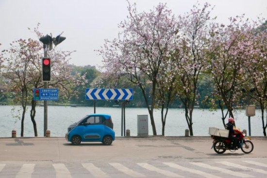 中國各地“賞花經(jīng)濟(jì)”玩出新“花”樣