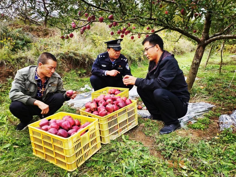 金秋十月好“警”色 豐收時節(jié)“警”相隨