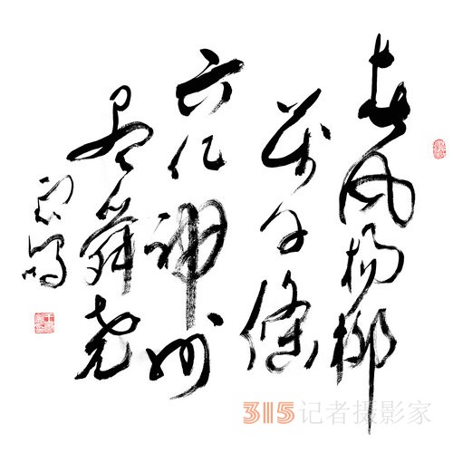 光耀華夏：王云鵬“鵬體草書(shū)”迎新春網(wǎng)絡(luò)作品展