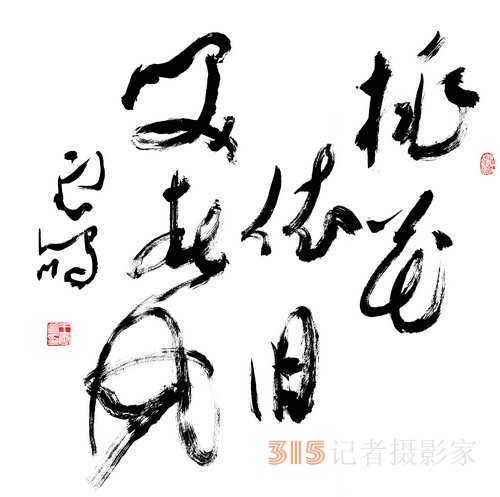 光耀華夏：王云鵬“鵬體草書(shū)”迎新春網(wǎng)絡(luò)作品展