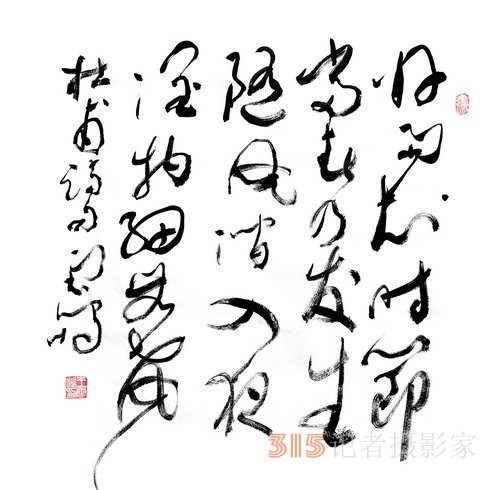 光耀華夏：王云鵬“鵬體草書(shū)”迎新春網(wǎng)絡(luò)作品展