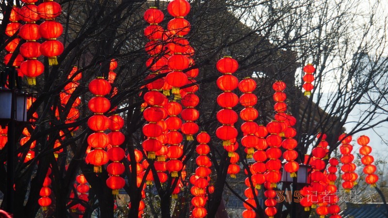 “辰龍鬧春”——紅紅火火的紅燈籠