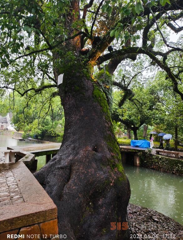 雨潤麗水街