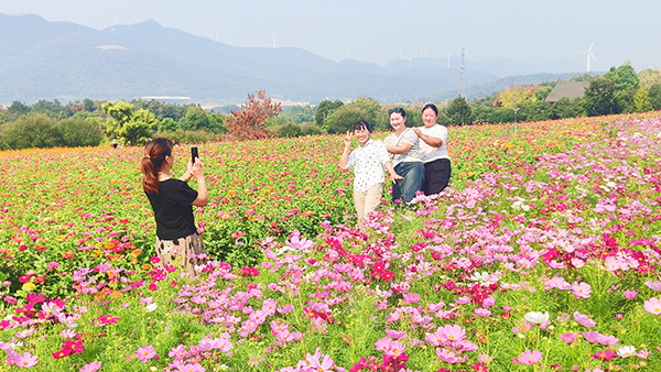 圣境花海美如畫(huà)